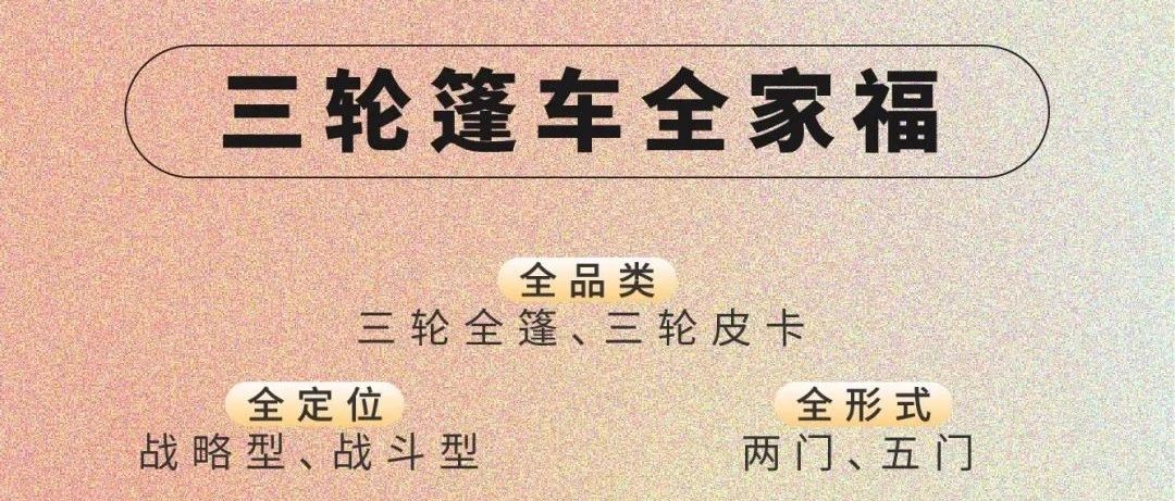 收藏淮海新版三轮篷车全家福